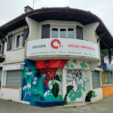 Bouic Immobilier Tarbes (65)