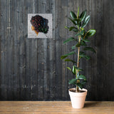 Affiche "Princesse Nubienne"